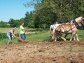 Moline Flying Dutchman In  Action - Here we are plowing the garden with Mitch and Polly and the Moline plow