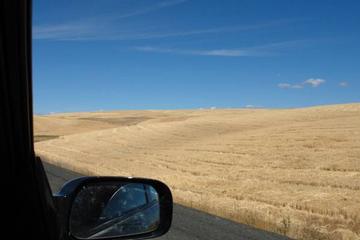 Harvested Fields In Washington State