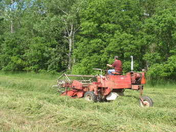 1969 Ih 175 Windrower - Hay PIC2