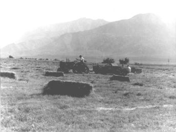 Case VA Tractor and Case Baler, about 1950