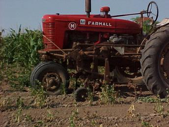 1941 Farmall M