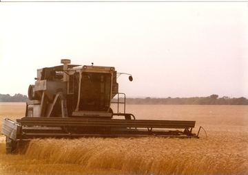 The Kansas Wheat Harvest 1978