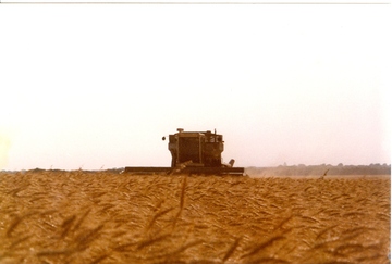 Kansas Wheat Harvest Gleaner L