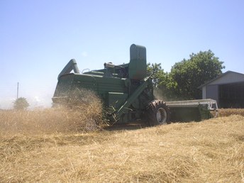 Oliver 431 Kansas Wheat Harvest