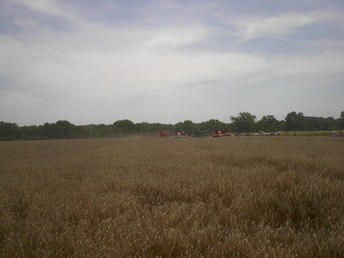 A Few Combines Farther Away.