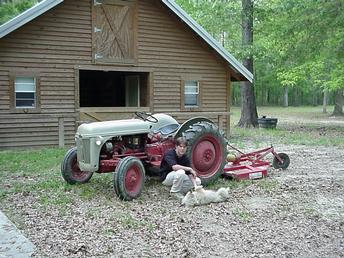 1952 Ford 8N