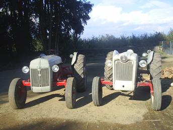 Ford 8N 52 And Golden Jubilee