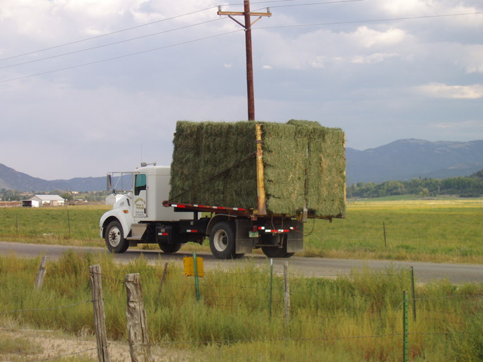 Old Truck Hauling Hay