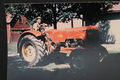 Massey Harris 201 - My great uncle Victor Schneider with a color photo of his 201 taken in the 1950