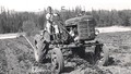 Farmall A - Photo taken about 1951 Cultivating strawberries.........