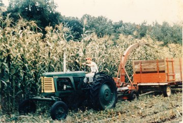 1955 Oliver Super 77 Diesel Papec Chopper - Uncle brought the seed from some place down  south. The 4 acres in this field in the muck  filled a 14 x 40 silo. Ears were over a foot  long and had white kernels.